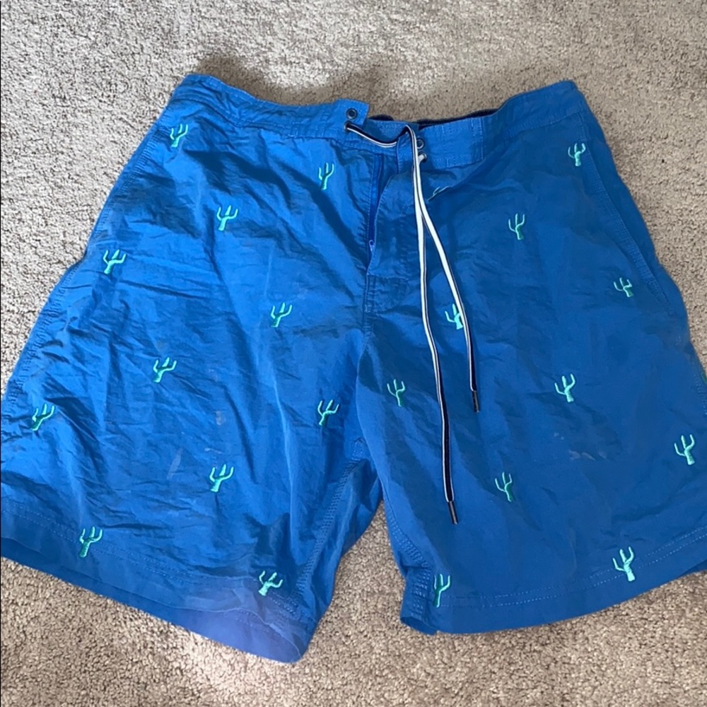 Bathing Suit Men’s